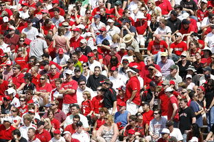 爱游戏内容中心-体育新闻中心快讯榜单刷新,体育新闻 体坛快讯