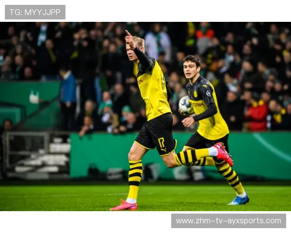 “美洲狮队走向世界舞台，成为橄榄球未来的强大力量”